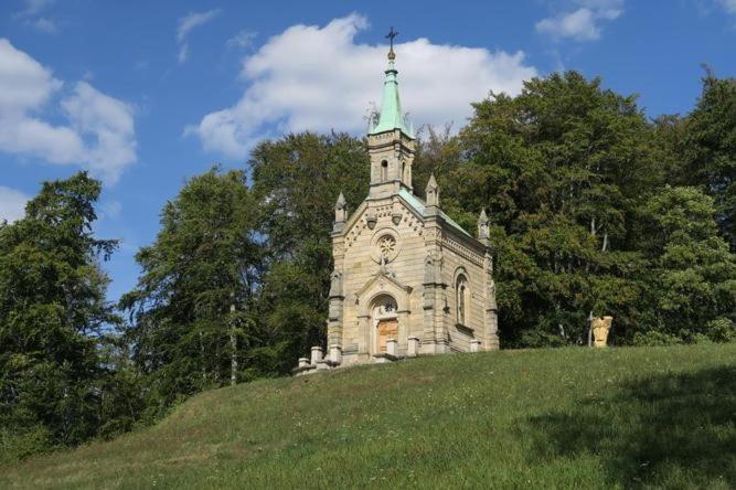 Ubytovani U Brabantika Десна Экстерьер фото