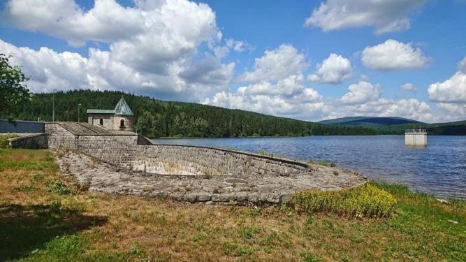 Ubytovani U Brabantika Десна Экстерьер фото